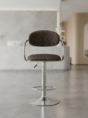 Modern Adjustable Bar Stool
