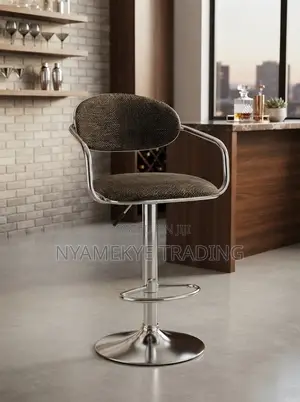 Modern Adjustable Bar Stool