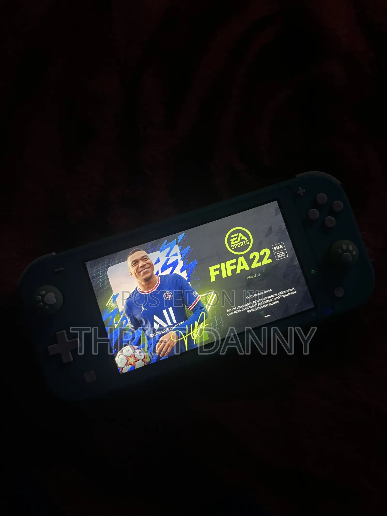 Nintendo Switch Lite
