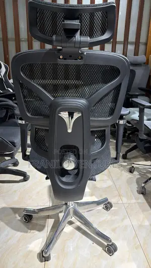 Ergonomic/ Executive Office Chair With Massage
