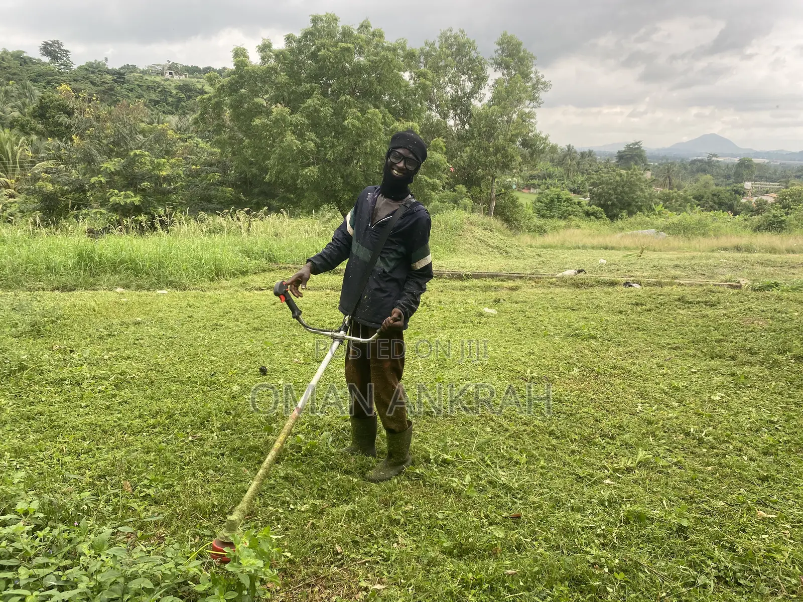 Grass Mowing Trimming