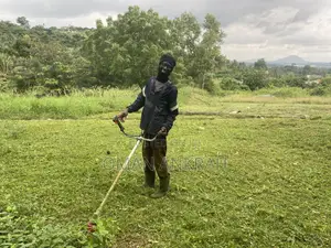 Grass Mowing Trimming