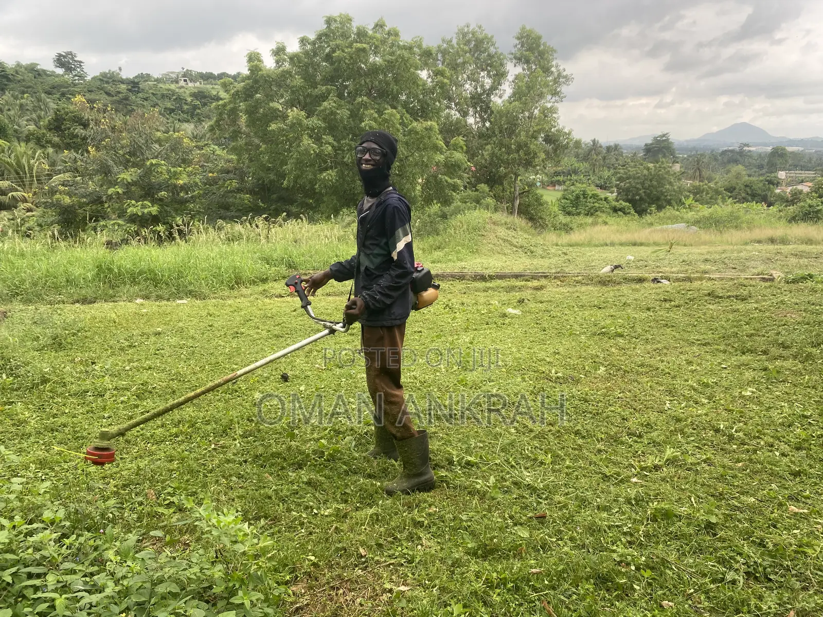 Grass Mowing Trimming