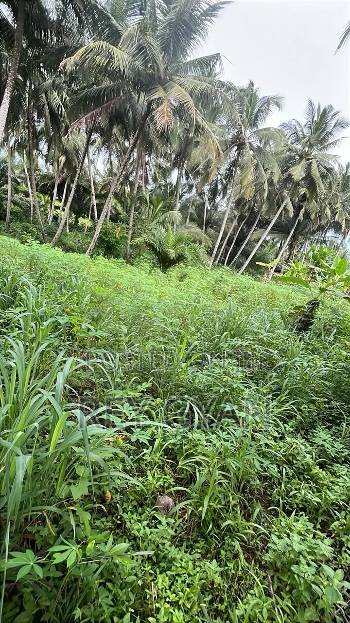 2 Plot Available at Agona Swedru Pipetank