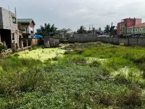 Roadside 1 Plot of Land for Sale at Tseaddo