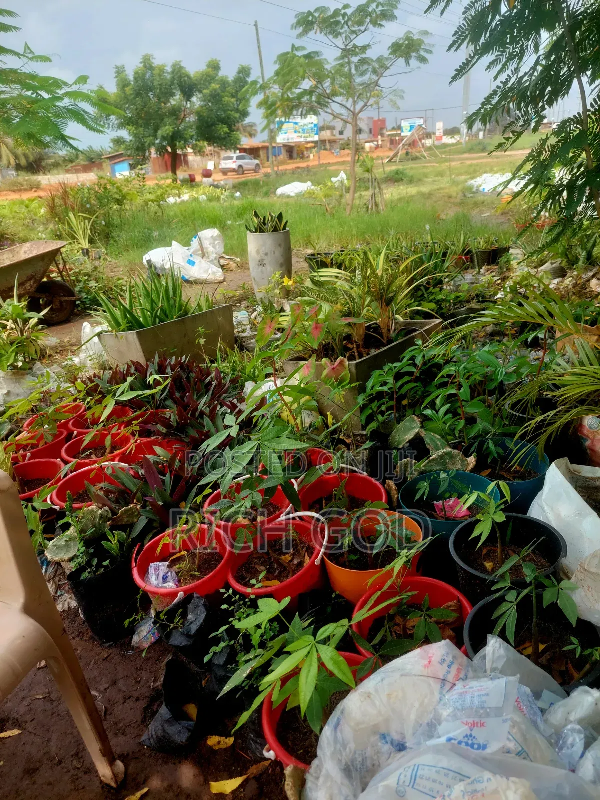 I Am Selling Follows And Plants 🪴