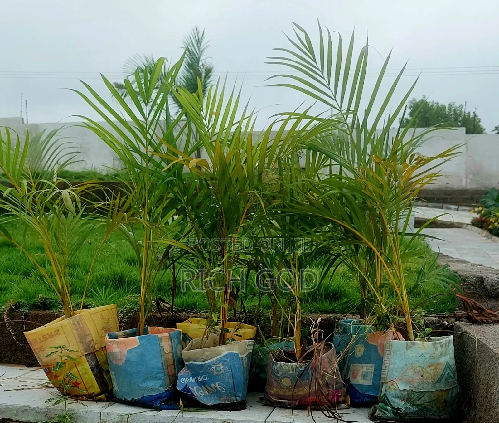 I Am Selling Follows And Plants 🪴