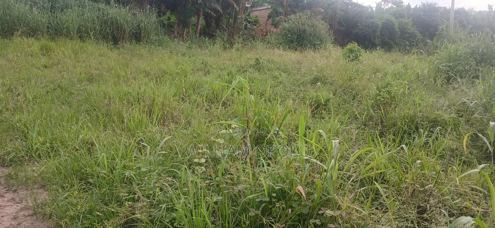 Land for Sale at Adieso Okurase