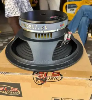 GLS Music 12-Inch 600watt Pair of Naked Speaker