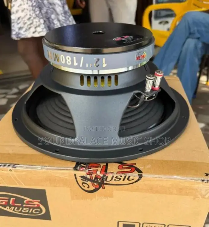 GLS Music 12-Inch 600watt Pair of Naked Speaker