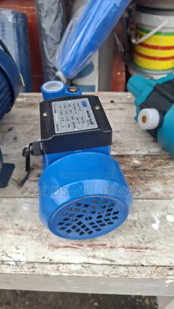Surface Water Pump