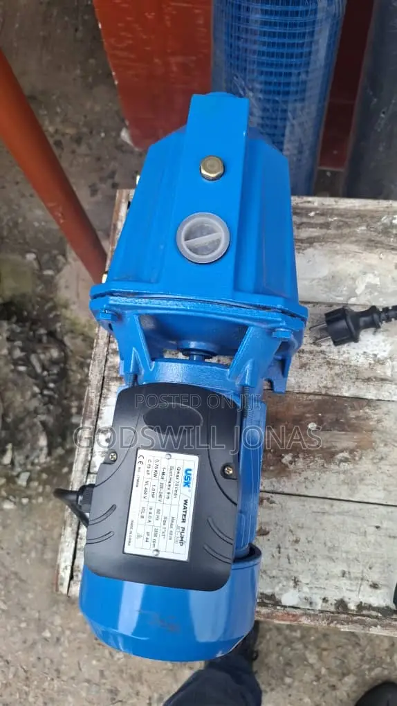 Surface Water Pump