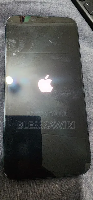 Apple iPhone 13 256 GB Green