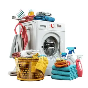 Male Cleaner