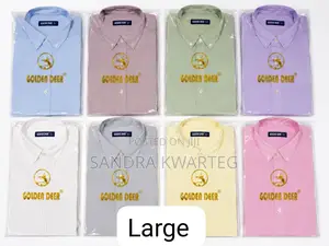 Men Short Sleeves Shirt