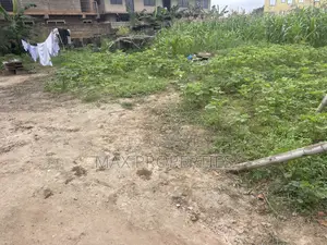 80/100 Plot of Land for Sale at Haasto Boshye No Litigation