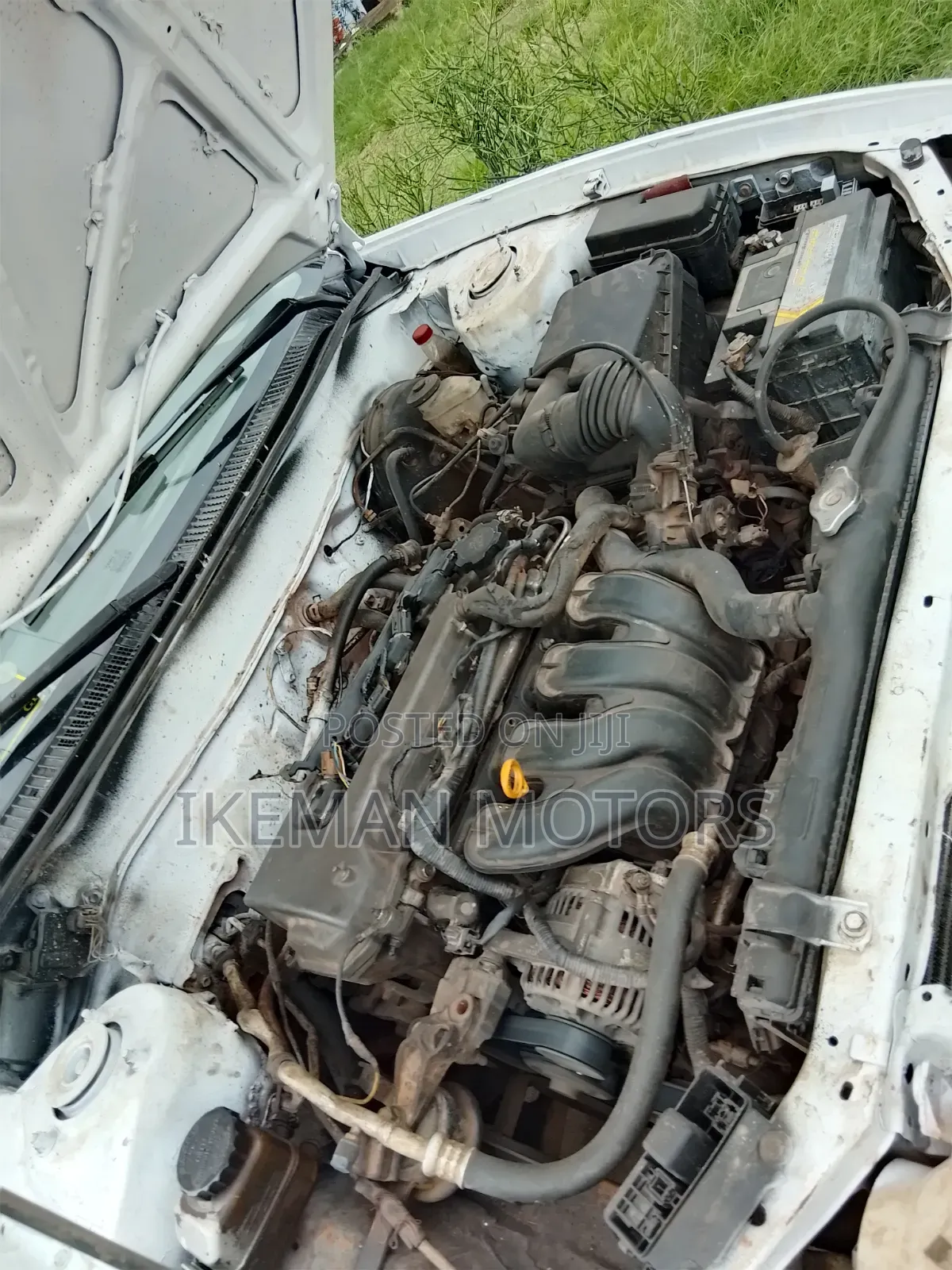 Toyota Corolla 2002 White