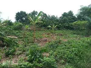 Registered 30000+ Acres Farm Land at Western Region