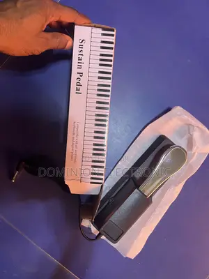 Sustain Pedal