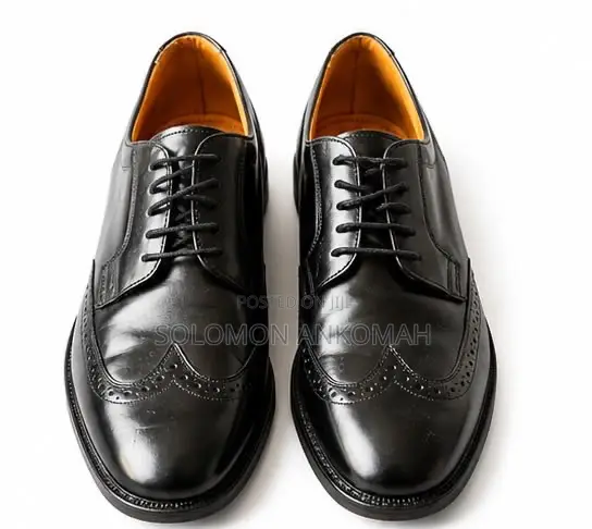 Waako’S Executives Black and Brown Shoes