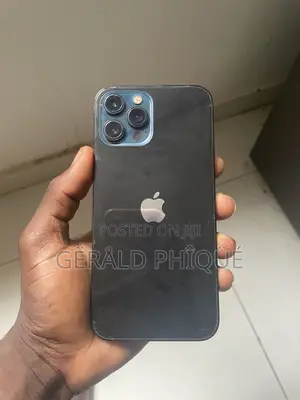 Apple iPhone 12 Pro Max 256 GB Black