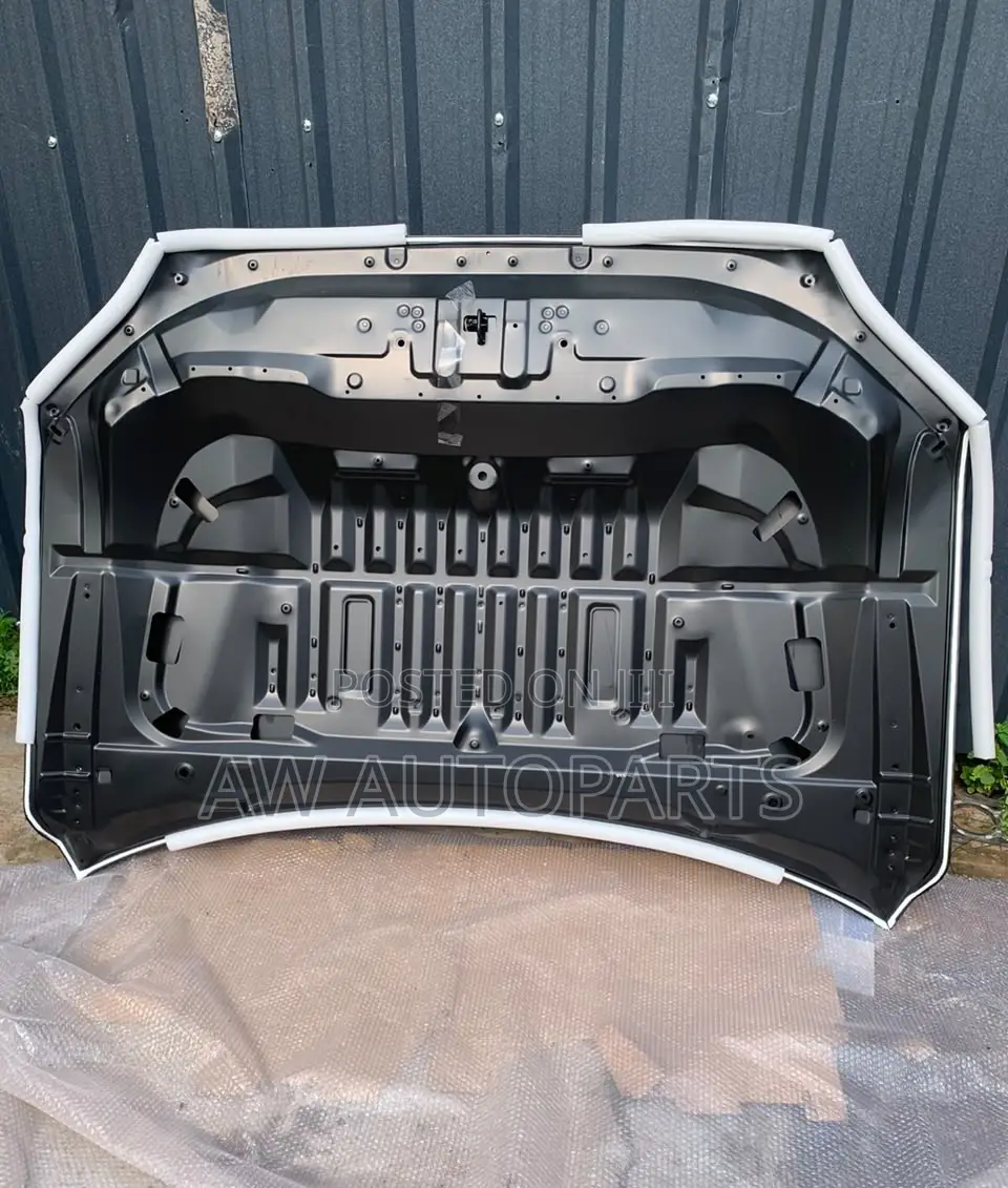 Toyota Tundra 2022 Hood ( Steel)