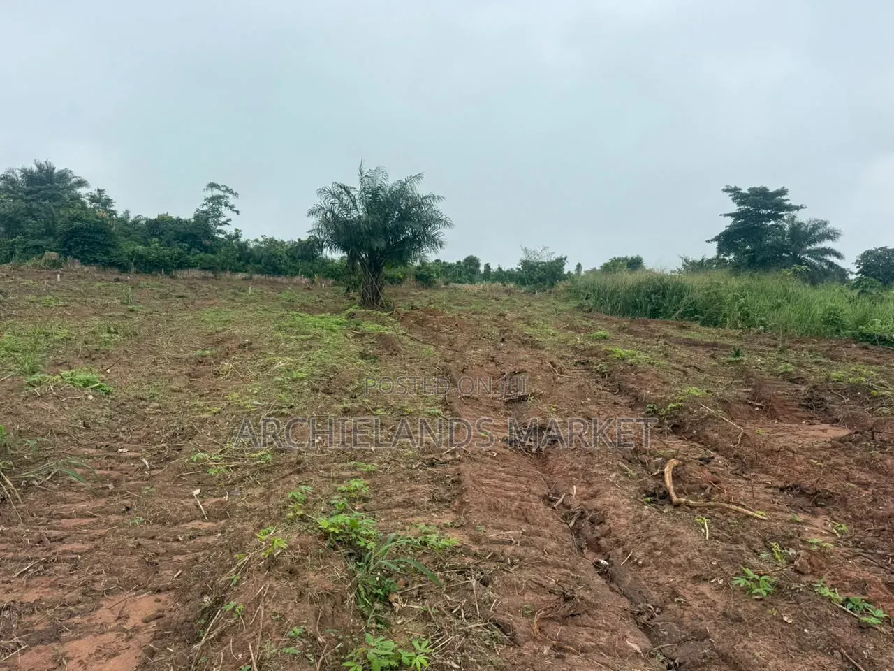 Land Available
