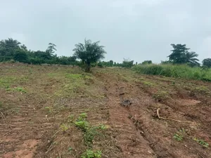 Land Available