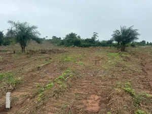 Land Available