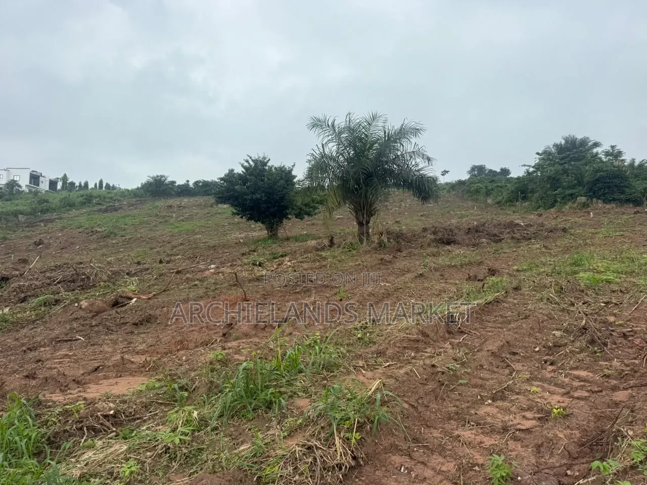 Land Available