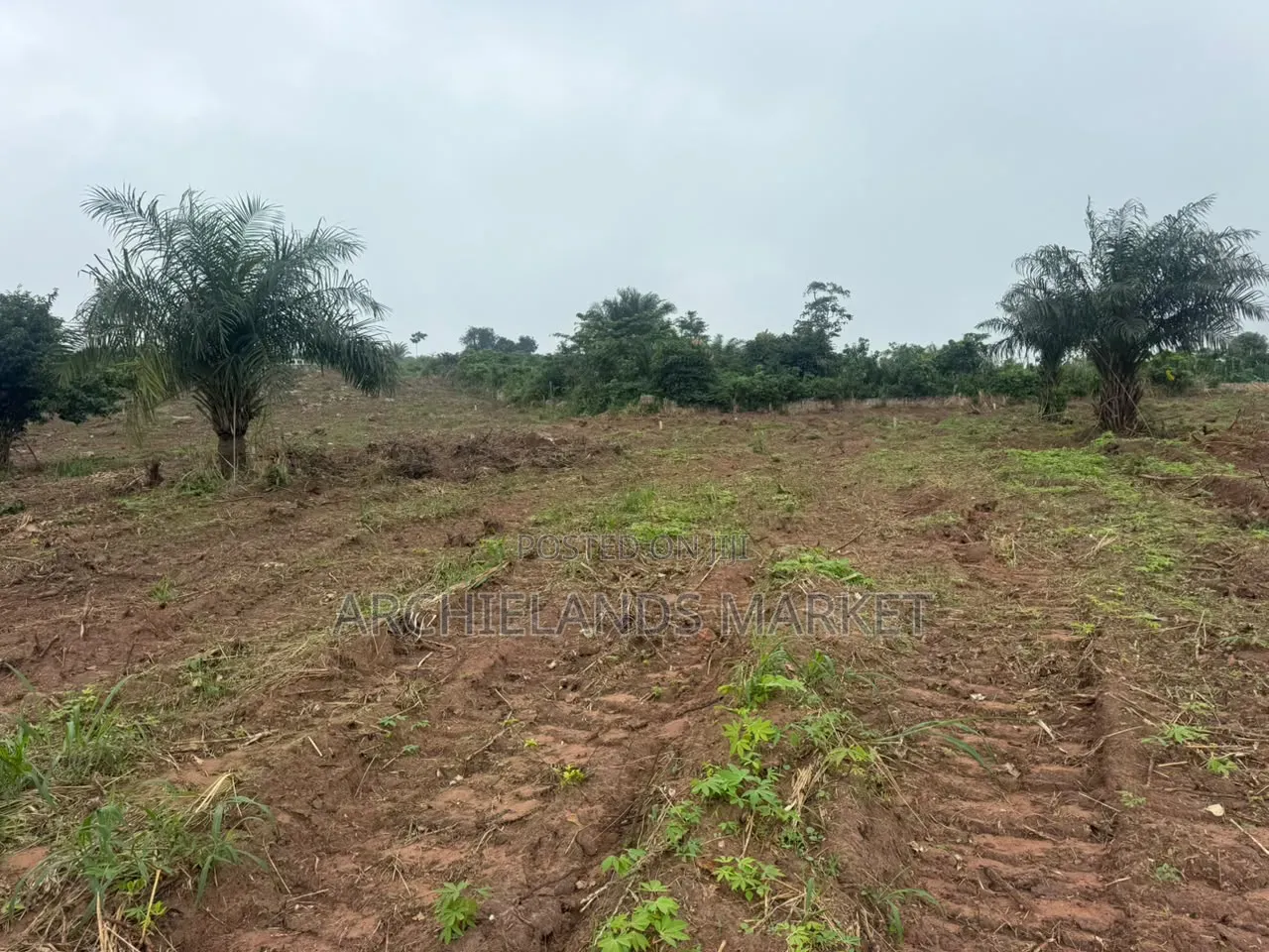 Land Available
