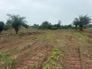 Land Available