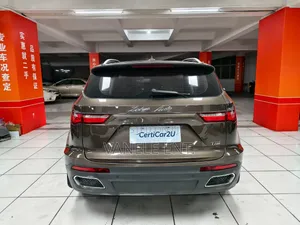 Zotye T700 2017 Brown