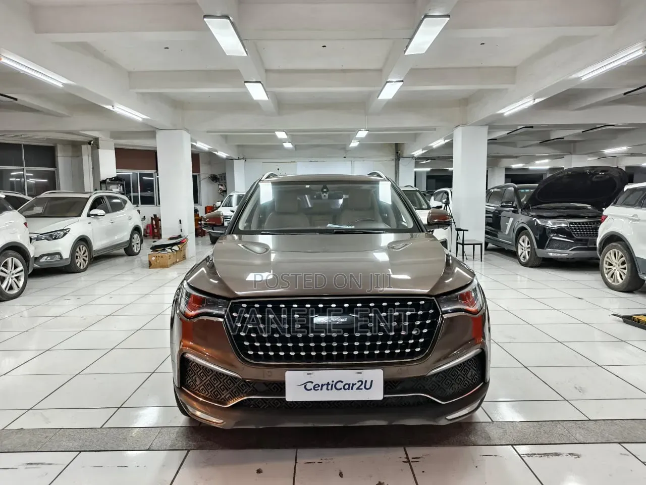 Zotye T700 2017 Brown