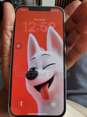 Apple iPhone 12 Pro Max 128 GB White