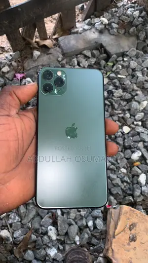 Apple iPhone 11 Pro Max 64 GB Green