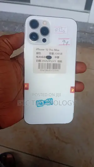 Apple iPhone 12 Pro Max 256 GB White