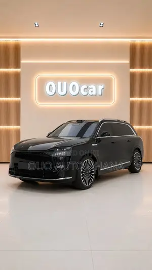 New AITO M9 1.5 Hybrid EREV AWD 2024 Black