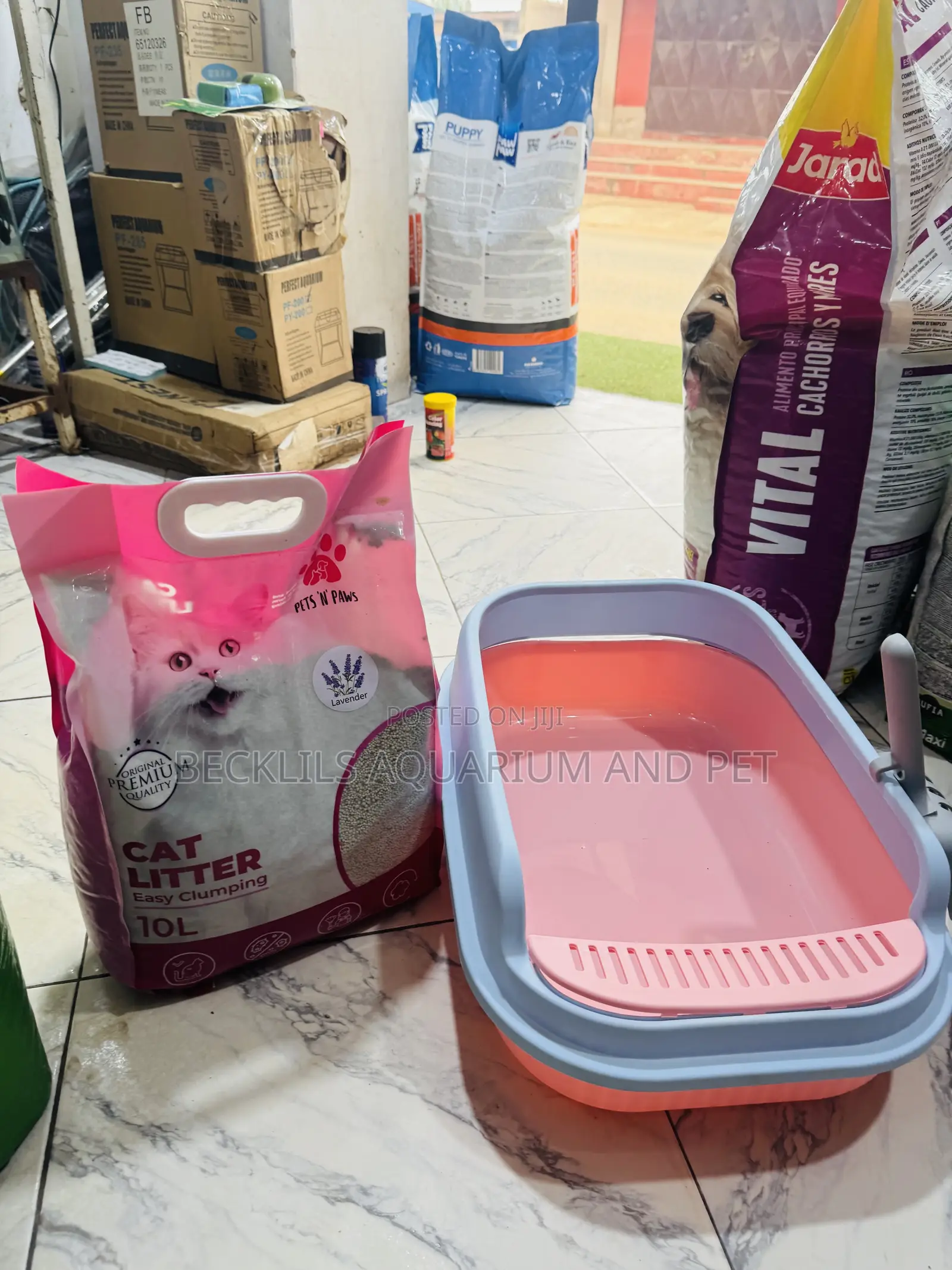 Spacious Catlitter Box With Litter Sand