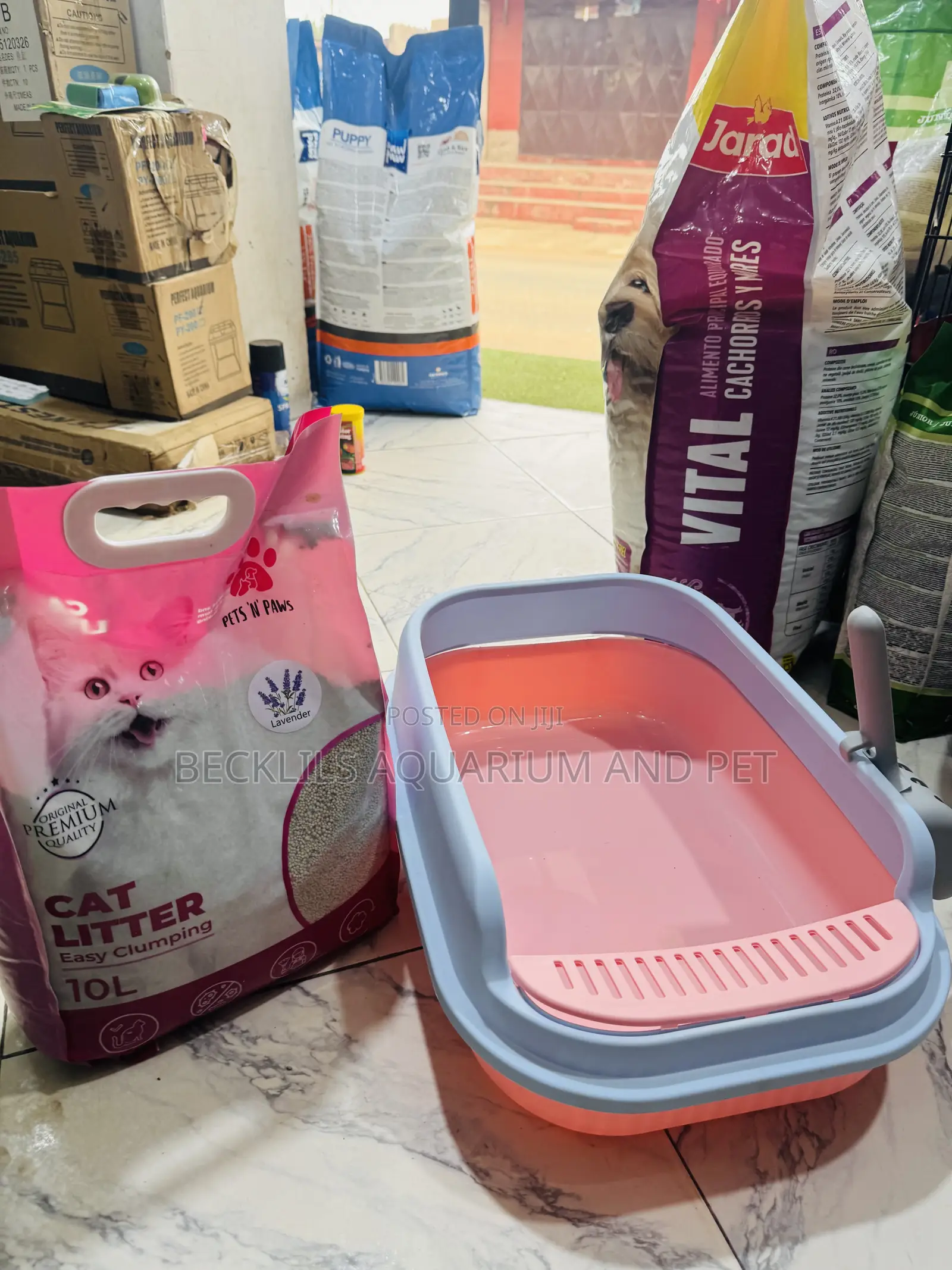 Spacious Catlitter Box With Litter Sand