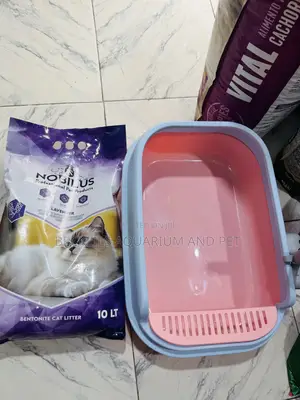 Spacious Catlitter Box With Litter Sand