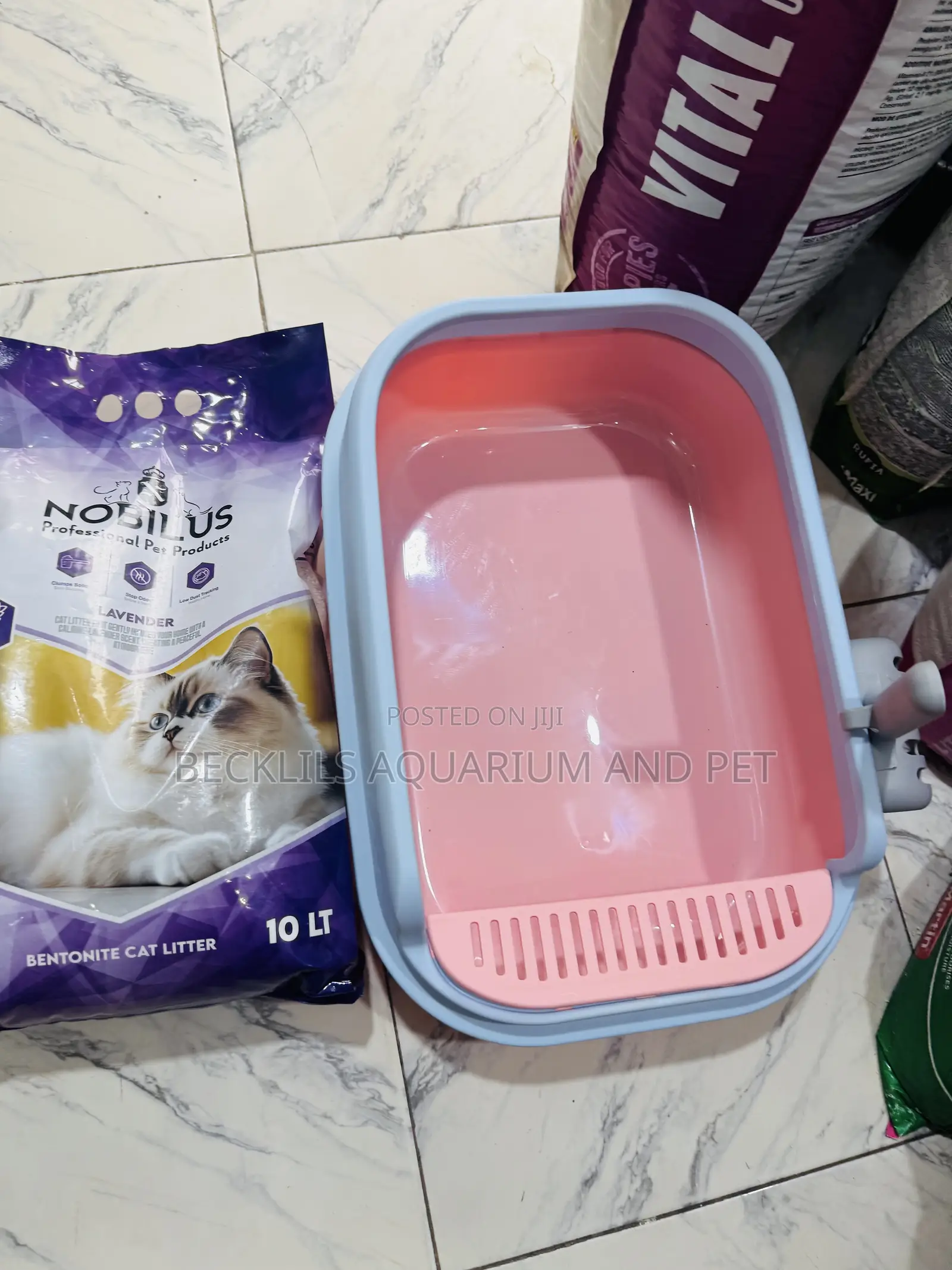 Spacious Catlitter Box With Litter Sand