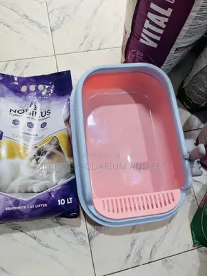 Spacious Catlitter Box With Litter Sand