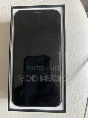 Apple iPhone 11 Pro Max 256 GB Gray