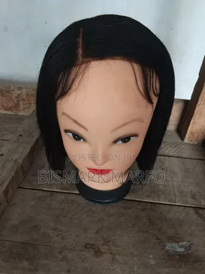 Human Hair Wig