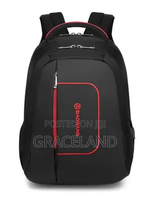This Is Original Nylons Biaowang Backpack for Men-Female 15-16 Inches