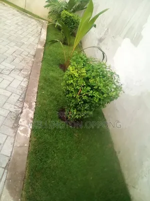 We Perform Neat Work