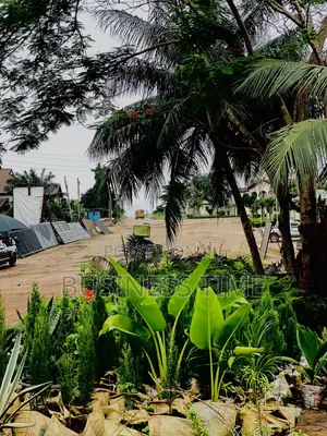 Selling of Flowers and Green Grass