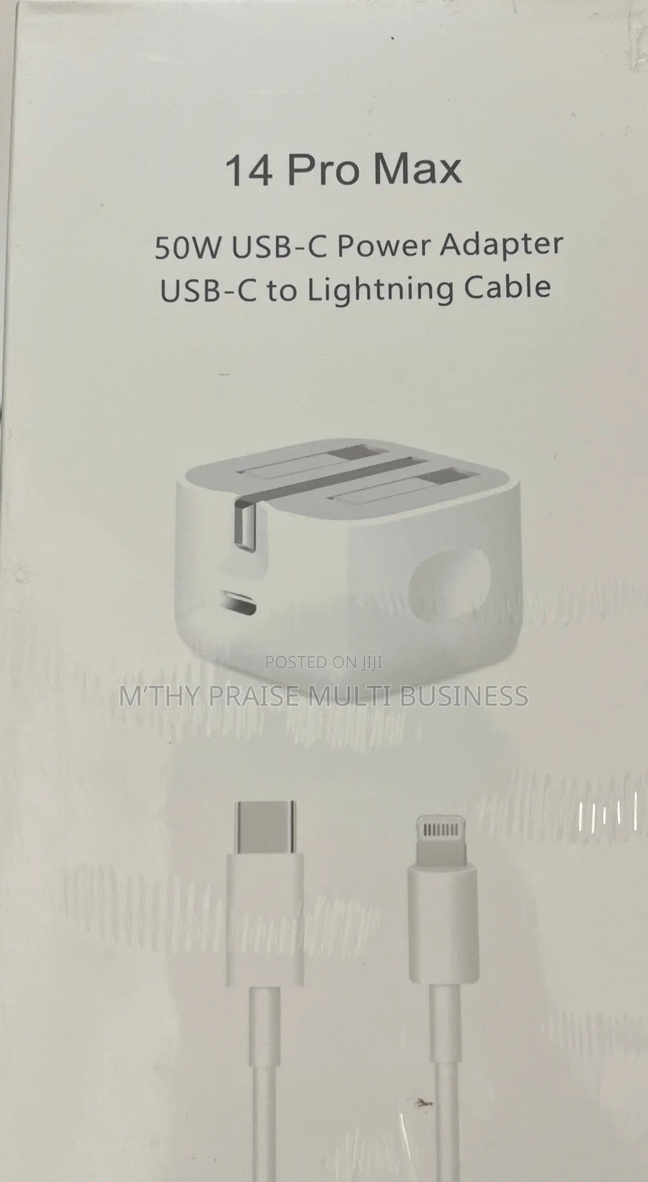 iPhone 3 Pins Charger