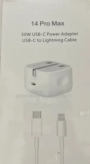 iPhone 3 Pins Charger